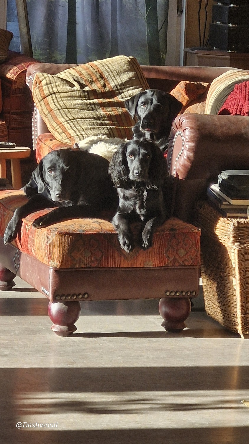 Salsa , Easy Rider Page und Rigby