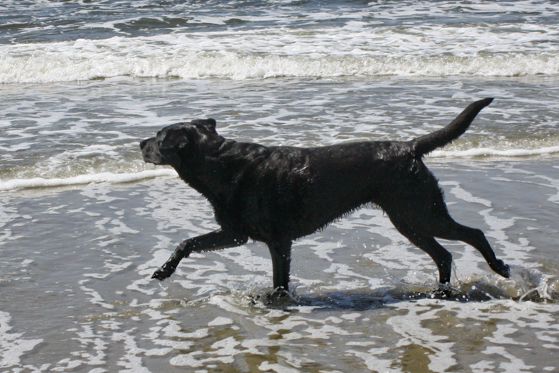 Inch auf Texel Juni 2009