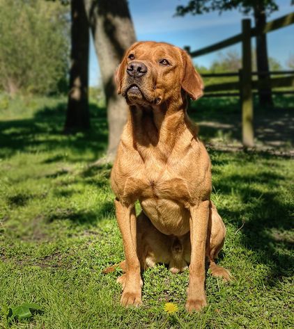 Bryn