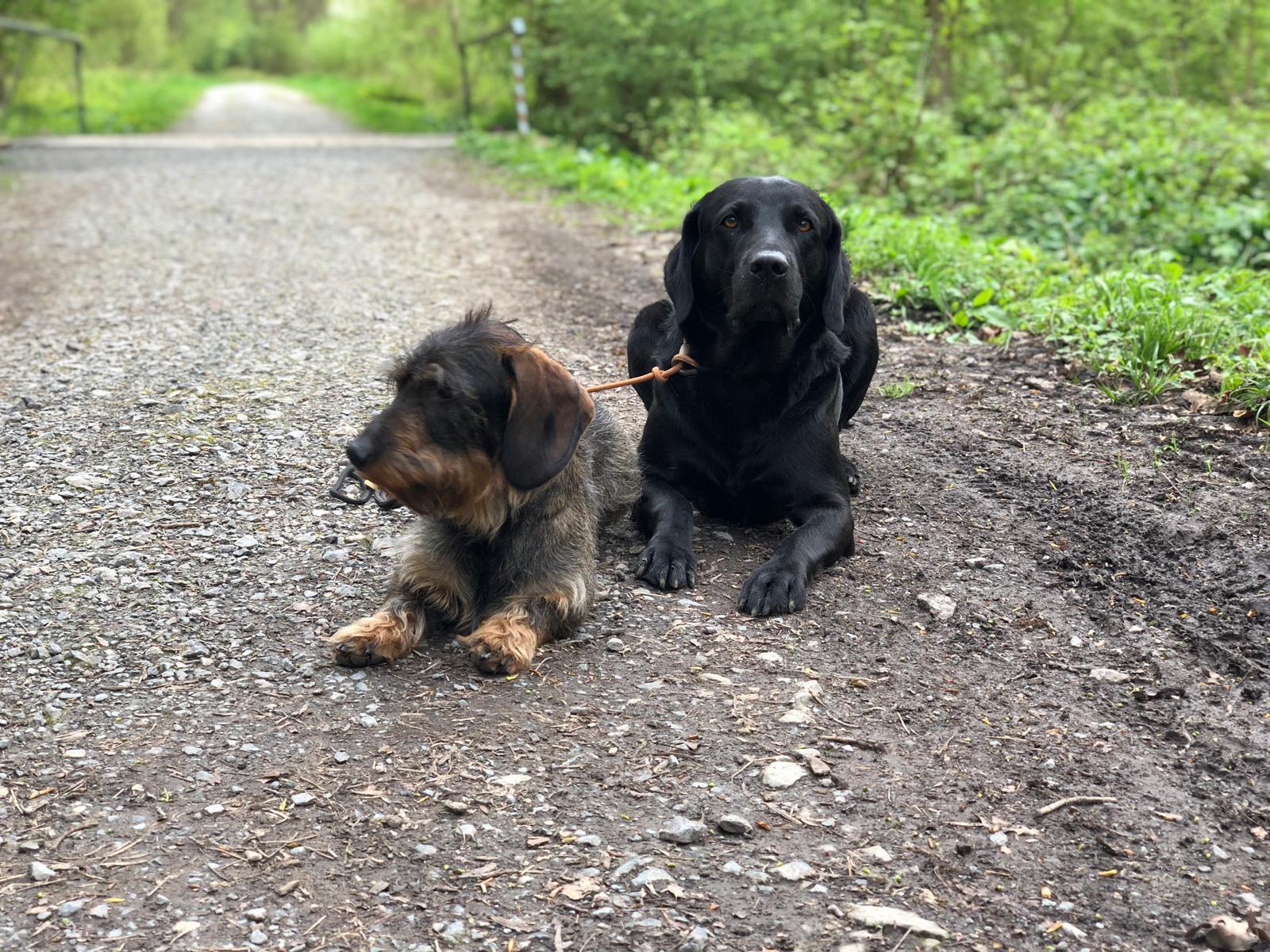 Freebooter Slater mit Kumpel