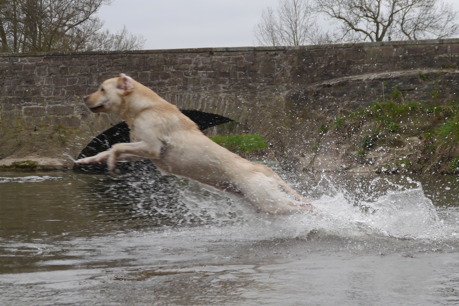 Apache Skill
